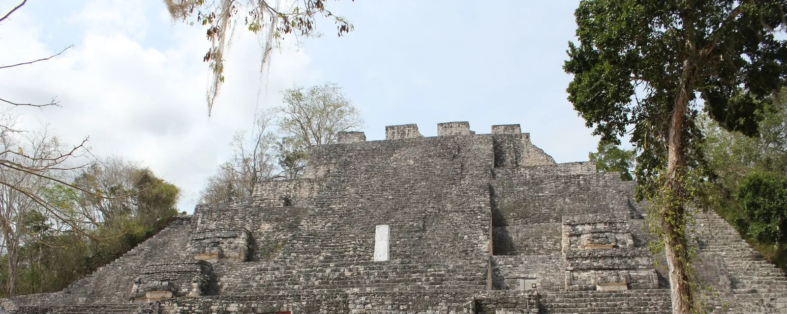 La Estructura II de Calakmul vista desde su base: los cuerpos escalonados de piedra subiendo entre los árboles altos de la selva que rodea el sitio