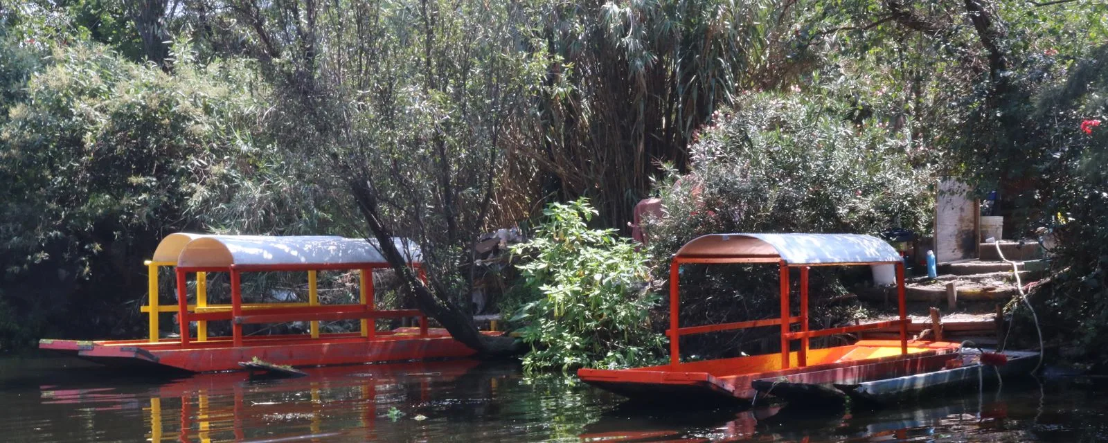 Dos trajineras vacías amarradas a la orilla de un canal de Xochimilco, con la vegetación de la chinampa cerrándose sobre el agua