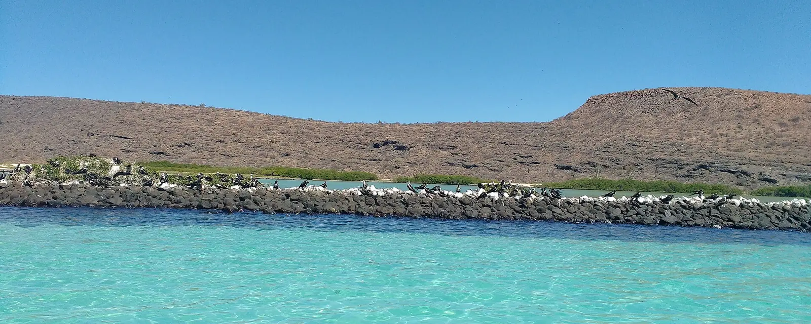Aguas turquesa y costa desértica de Isla Espíritu Santo, Baja California Sur