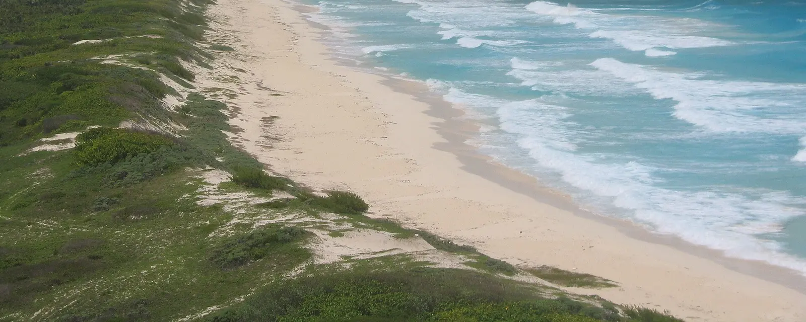 Playa de Cozumel vista desde el faro