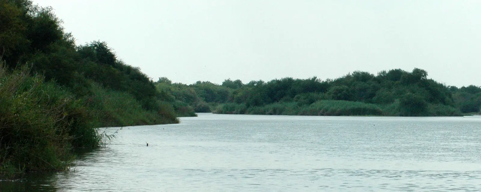 El río Bravo a la altura del municipio de Mier, Tamaulipas