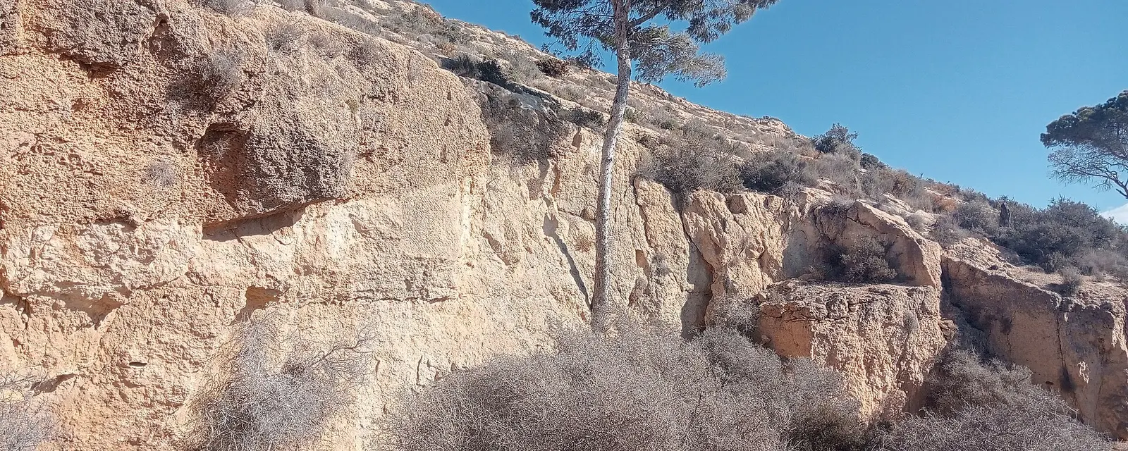 Laderas aterrazadas del Cerro de Trincheras, en el desierto sonorense