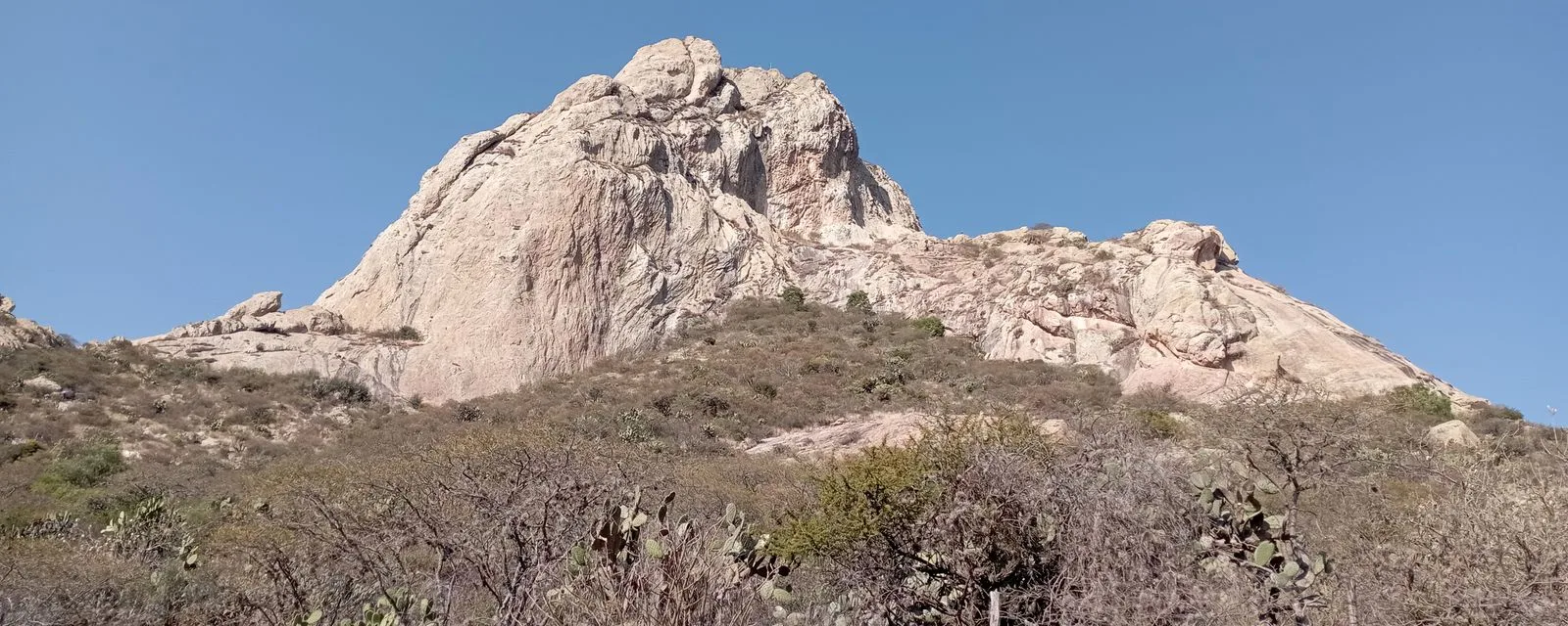La Peña de Bernal alzándose sobre la ladera de matorral y nopales, un monolito de roca clara contra el cielo despejado