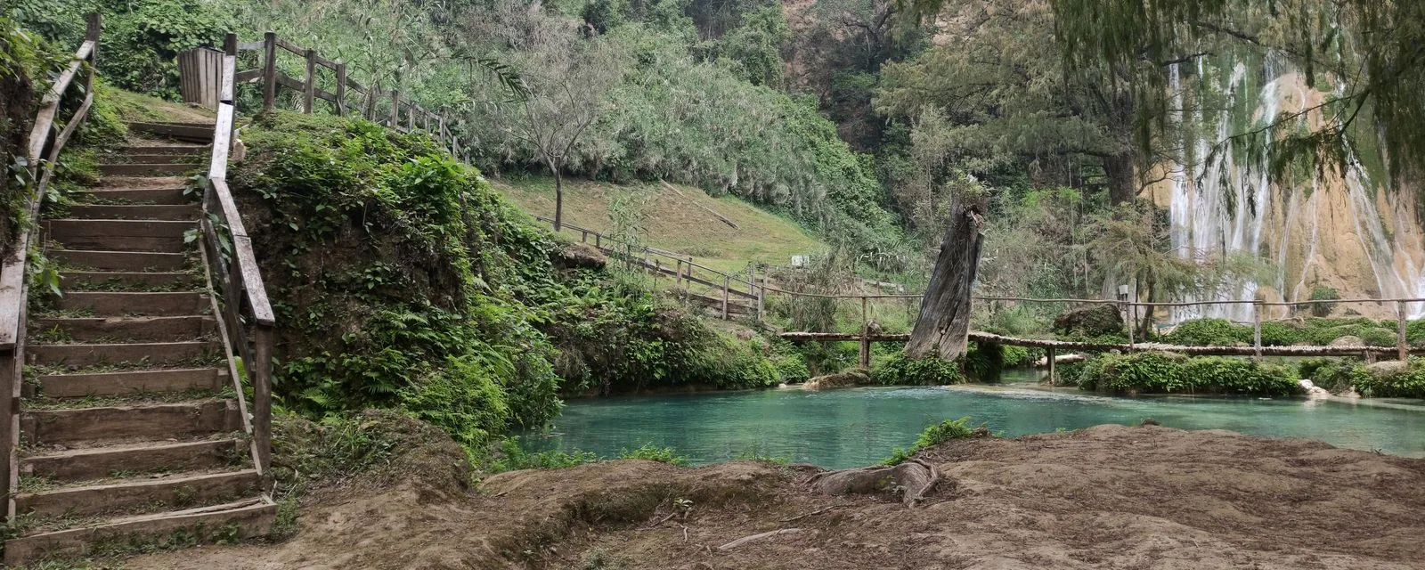 Una poza de agua turquesa en la cascada de Minas Viejas, en la Huasteca Potosina, con una escalera de madera bajando por la ladera de vegetación